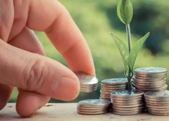 Sustainable Finance: Investing in a Greener Future