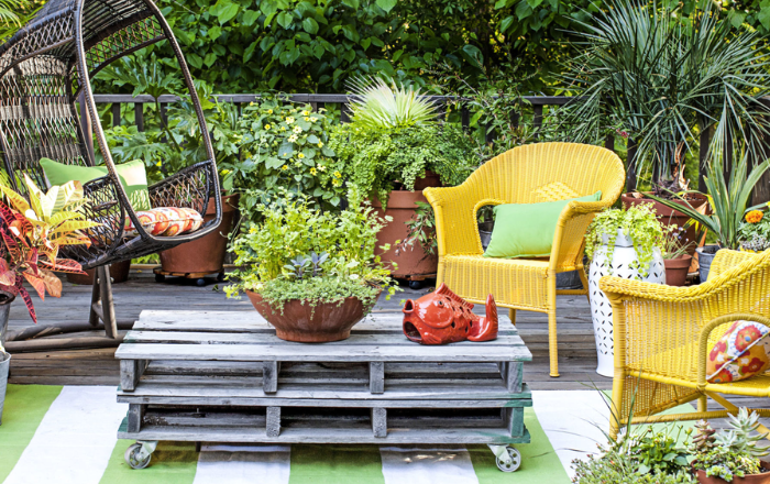 From House to Haven: Transforming Your Home and Garden