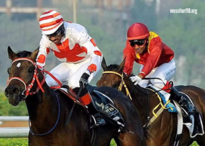 Expert du Turf Pronostic Gratuit