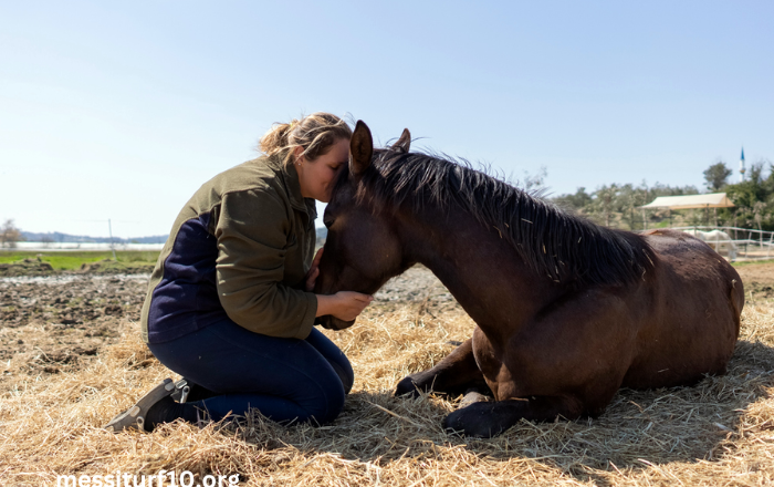 ÉLimination Des Chevaux