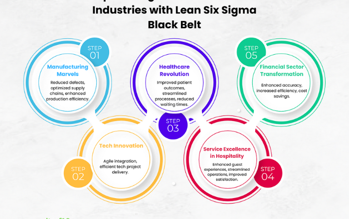Integration of Lean and Six Sigma Black Belt Practices
