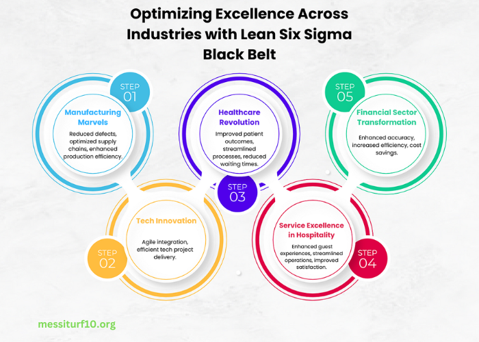 Integration of Lean and Six Sigma Black Belt Practices