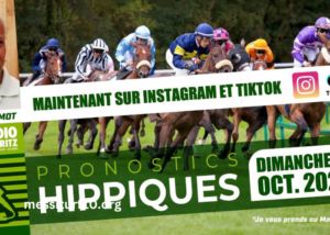 Lingodor Turf 2019