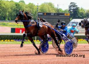Societe Turf Trio