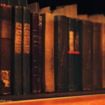 THE HISTORY OF THE NOVEL: FROM CLASSIC LITERATURE TO CONTEMPORARY FICTION
