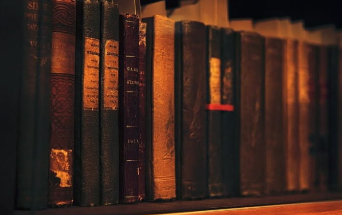 THE HISTORY OF THE NOVEL: FROM CLASSIC LITERATURE TO CONTEMPORARY FICTION