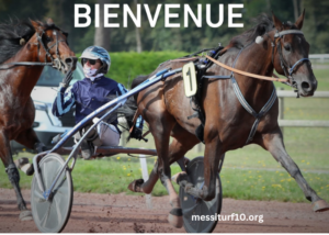 Belle Turf Prono Vip