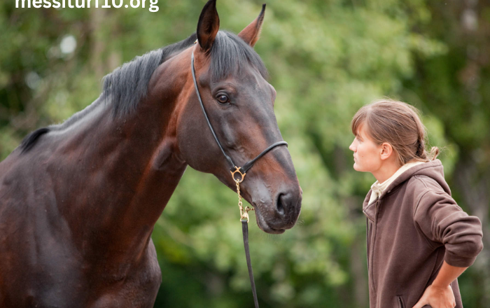 Understanding Equine Behavior: A Guide to Communicating with Horses
