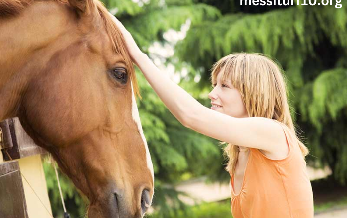 The Majesty of Horses: Exploring the Bond Between Humans and Equines