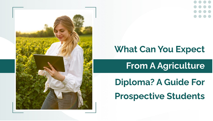 What Can You Expect from an Agriculture Diploma? A Guide for Prospective Students