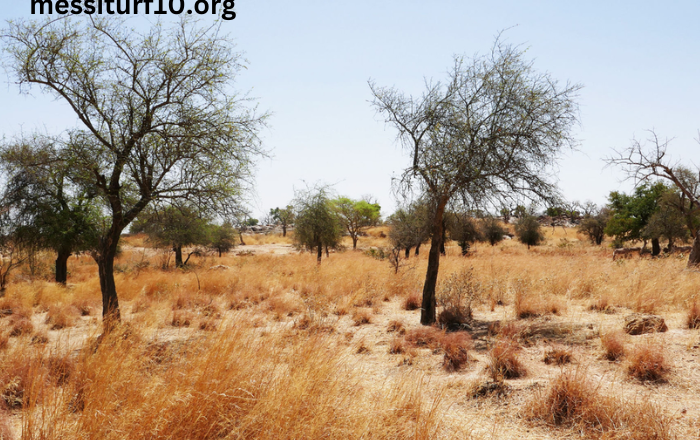 Météo Bobo-Dioulasso