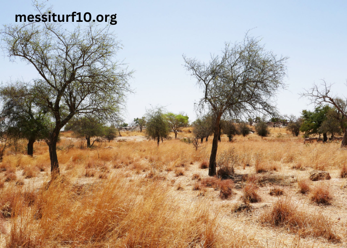 Météo Bobo-Dioulasso