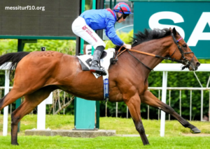 Meilleur Pronostic Pmu Du Jour Presse