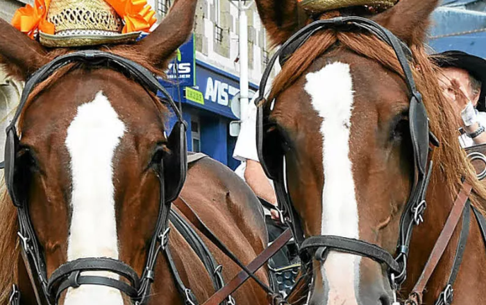 Trio 3 Chevaux