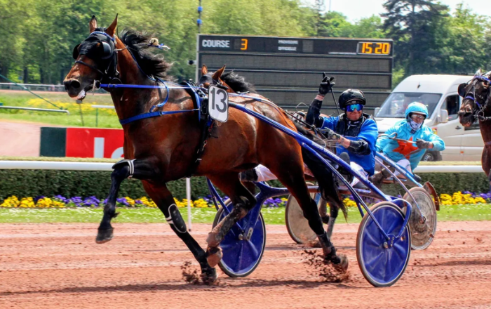 Programme Pmu DE Demain Lonab Pronostics