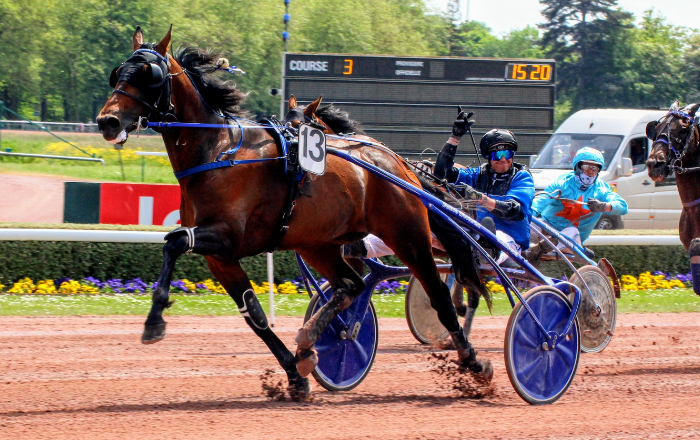 Le Trio Gagnant Du Jour