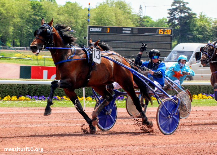 le trio gagnant du jour