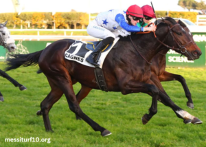 Tierce100pour100 Sur