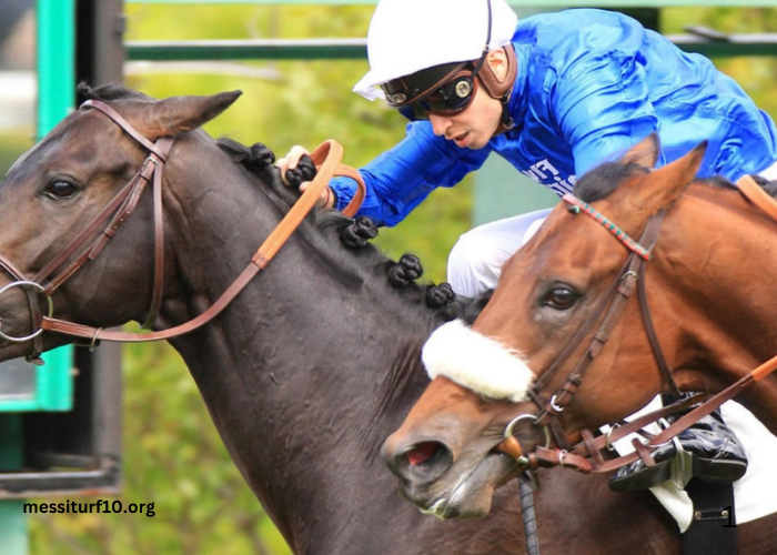 8 Chevaux Turf Magique