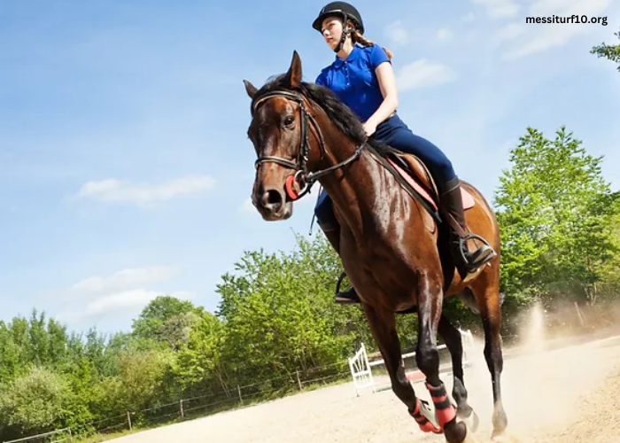 Un Cheval Par Jour