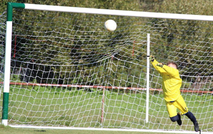 Virtual Goalkeeper Trainers: Preparing for Penalty Shootouts