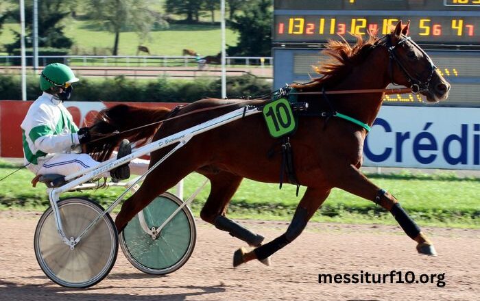 Cheval en OR