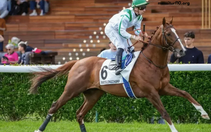 Equidia Du Jour
