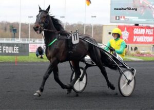 Dezcourse Couplé Incontournable