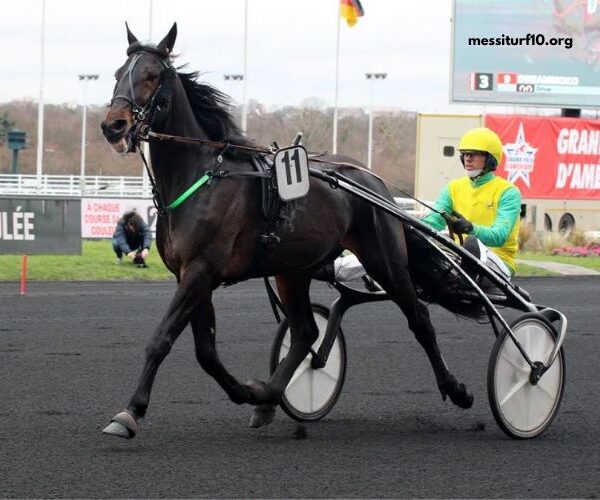 Dezcourse Couplé Incontournable