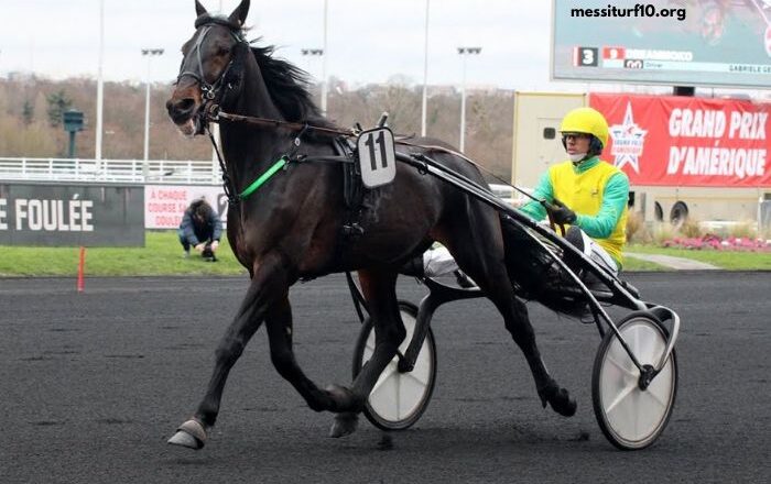 Dezcourse Couplé Incontournable
